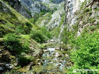 Picos de Europa-Naranjo Bulnes(Urriellu);Puente San Isidro; ruta del cares valle del jerte